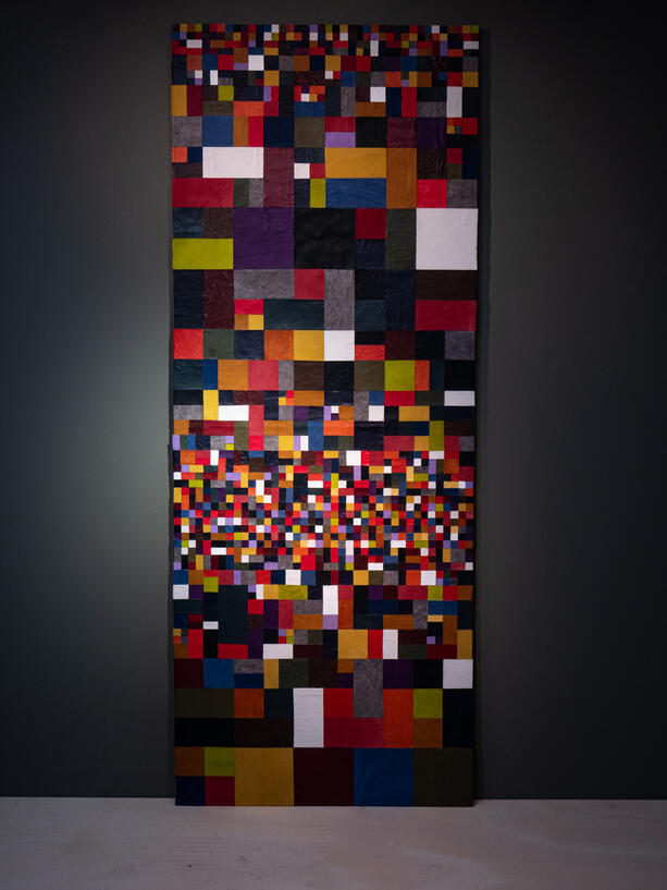 S/TÍTULO | 2024 | Pele, Madeira | 260 x 120 cm